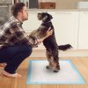 50Pcs/Set Dog Training Pads Puppy Pee Pads Cat Wee Mats Potty-Train 24’’*18’’ M