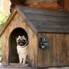Ultrasonic Anti-Barking Device Rechargeable Auto Dog Bark Control Deterrent Box Training Device Ipx4 Waterproof With 3 Frequency Max 32.8Feet Sensing
