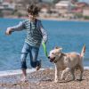 Ipx7 Waterproof Electric Dog Training Collar Rechargeable Receiver Beep Vibration Shock For Small Medium Large Dogs
