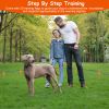 Dog Fence System Pet Containment System With 100 Adjustable Levels Ipx7 Waterproof Rechargeable Receiver Underground Fence For Small Medium Large Dog