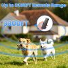 2-In-1 Dog Shock And Bark Collar Dog Training Collar With Remote 2 Collars Rechargeable Ip68 Waterproof With 3 Channels For Medium And Small Dogs