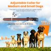 2Pack Dog Training Collars With Remote Rechargeable Dog Training Collars Ip68 Waterproof With 4 Training Modes 3 Channels For Medium And Small Dogs
