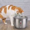 2L/67.6Oz Automatic Electric Pet Water Fountain Stainless Steel Pet Drinking Fountain Cat Dog Water Dispenser With Water Level Ultra-Quiet Pump