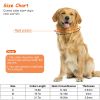Adjustable Dog Choke Collar Training Chain Dog Necklace With Buckle For Small Medium Large Dogs