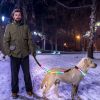 Light Up Dog Collar Led Dog Collar Safety Night Glowing Dog Collar With 9 Light Colors Ipx7 Waterproof Usb Rechargeable S/M/L