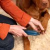 Dog Nail Grinder 2 Speeds Quiet Usb Rechargeable Pet Nail Grinder Professional Pet Nail Trimmer Cordless Paws Grooming & Smoothing Claw Care For Small