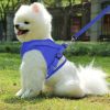 Pet Mesh Harness Dog Leash Set Reflective Chest Strap Adjustable Puppy Vest For Puppies Breeds Dogs Cats Walking Outdoor