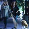 16Ft Retractable Dog Leash Extendable Pet Leash Dog Walking Leash With Flashlight Rgb Light 2 Rolls Of Waste Bags Dispenser Fit For 66-110Lbs