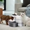 Smart Pet Water Fountain Automatic Cat Water Dispenser 3L/101Oz Cordless Rechargeable Dog Water Fountain Self-Refill With 3 Adjustable Volume 3 Time I