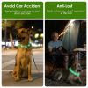 Usb Rechargeable Led Dog Collar Multi-Color Lighting Dog Safety Collar Cuttable Length Glow Dog Collar For Small Medium Large Dog Night Walking