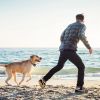 2 In 1 Dog Gps Fence Tracker Wireless Gps Dog Fence Gps Dog Collar With 32-2887Ft Radius Ipx6 Waterproof For Small Medium Large Dogs