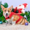 Pet Christmas Costumes Red Winter Coat For Dog Riding Santa Claus With Bell Clothes New Year Outfit Cosplay Costumes Party Dress Up For Cats