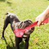 Dog Chew Toy Dog Teething Toy Dog Chew Bone With Beef Flavor Suitable For Aggressive Chewers Small Medium Large Dogs