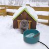 Heated Water Bowl For Dog Cat 74.4Oz Heating Water Dish Ip67 Waterproof Thermal Water Bowl Heated Pet Bowl Dog Cat Water Feeder Bowl For Dog Cat Rabbi