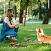 5Pcs Christmas Dog Rope Chew Toys Dog Interactive Toys Set For Puppy Small Medium Aggressive Chewers Dogs Training Teething Playing