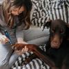 Dog Nail Grinder 2 Speeds Quiet Usb Rechargeable Pet Nail Grinder Professional Pet Nail Trimmer Cordless Paws Grooming & Smoothing Claw Care For Small
