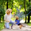 Pet Mesh Harness Dog Leash Set Reflective Chest Strap Adjustable Puppy Vest For Puppies Breeds Dogs Cats Walking Outdoor
