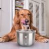 2L/67.6Oz Automatic Electric Pet Water Fountain Stainless Steel Pet Drinking Fountain Cat Dog Water Dispenser With Water Level Ultra-Quiet Pump