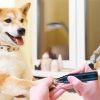 Dog Nail Grinder 2 Speeds Quiet Usb Rechargeable Pet Nail Grinder Professional Pet Nail Trimmer Cordless Paws Grooming & Smoothing Claw Care For Small