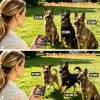 2 In 1 Wireless Dog Fence System With 2 Training Collars Invisible Dog Fence Ip68 Waterproof With 722Ft Adjustable Range Beep Vibration  Static Shock