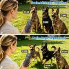 2-In-1 Dog Shock And Bark Collar Dog Training Collar With Remote 2 Collars Rechargeable Ip68 Waterproof With 3 Channels For Medium And Small Dogs