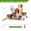 Usb Rechargeable Led Dog Collar Multi-Color Lighting Dog Safety Collar Cuttable Length Glow Dog Collar For Small Medium Large Dog Night Walking