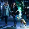 Light Up Dog Collar Led Dog Collar Safety Night Glowing Dog Collar With 9 Light Colors Ipx7 Waterproof Usb Rechargeable S/M/L