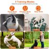 Ipx7 Waterproof Electric Dog Training Collar Rechargeable Receiver Beep Vibration Shock For Small Medium Large Dogs