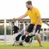 Ultrasonic Anti Barking Device Rechargeable Handheld Dog Barking Deterrent With 4 Modes Led Flashlight Dog Repeller
