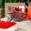 Pet Christmas Costumes Red Winter Coat For Dog Riding Santa Claus With Bell Clothes New Year Outfit Cosplay Costumes Party Dress Up For Cats