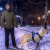 Light Up Dog Harness Rechargeable Led Dog Harness No Pull Lighted Dog Vest With Handle For Small/Medium/Large Dogs