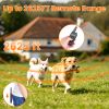 Dog Training Collar With Remote Rechargeable Dog Training Collar Ip68 Waterproof With 4 Training Modes 3 Channels For Medium And Small Dogs