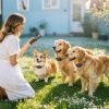 2-In-1 Dog Shock And Bark Collar Dog Training Collar With Remote 2 Collars Rechargeable Ip68 Waterproof With 3 Channels For Medium And Small Dogs