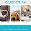 Dog Cat Slow Feeder Bowl Pet Interactive Maze Feeder Bowl Anti-Bloat Feeding Plate
