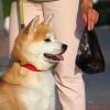 10 Rolls 150 Count Dog Waste Bags Disposable Dog Poop Bags With Dispenser Leakproof Ecofriendly Unscented