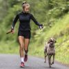 Dog Training Collar Receiver Ipx6 Waterproof Shock Vibration Beep Mode Single Dog Receiver Without Remote For Small Medium Large Dogs