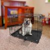 30Inches Dogs Crate Folding Metal Pets Crates Double Door Puppy Cage Easy Set Up
