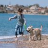 Dog Training Collar With Remote Rechargeable Electronic Shock Collar For Dogs Beep Vibration Shock For Small Medium Large Dogs