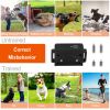 3280Ft Dog Training Collar Ip67 Waterproof Pet Beep Vibration Electric Shock Collar 3 Channels Rechargeable Transmitter Receiver Trainer With Flashlig