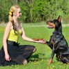 3280Ft Dog Training Collar Ip67 Waterproof Pet Beep Vibration Electric Shock Collar 3 Channels Rechargeable Transmitter Receiver Trainer With Flashlig