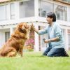 Ultrasonic Anti Barking Device Rechargeable Handheld Dog Barking Deterrent With 4 Modes Led Flashlight Dog Repeller