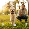 Electric Dog Collar Receiver Anti-Bark Dog Deterrent Training Collar With Beep Shock Modes For Dog Fence System