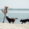2 In 1 Wireless Electric Dog Fence Waterproof Pet Shock Boundary Containment System Electric Training Collar With 2 Receiver Collars For Small Medium