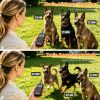 2Pack Dog Training Collars With Remote Rechargeable Dog Training Collars Ip68 Waterproof With 4 Training Modes 3 Channels For Medium And Small Dogs