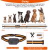 984Ft Dog Training Collar Ip65 Waterproof Pet Beep Vibration Electric Shock Collar 3 Channels Rechargeable Transmitter Receiver Trainer With Recording