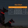 Led Dog Collar Usb Rechargeable Adjustable Dog Safety Collar Night Safety Flashing Luminous Light Up Collar