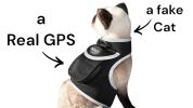 Waterproof Collar Realtime Pet GSM GPS Tracking Device Location Finder Size:L