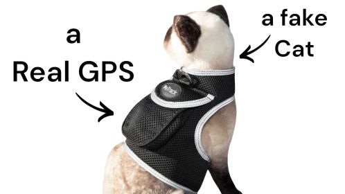 Waterproof Collar Realtime Pet GSM GPS Tracking Device Location Finder Size:L