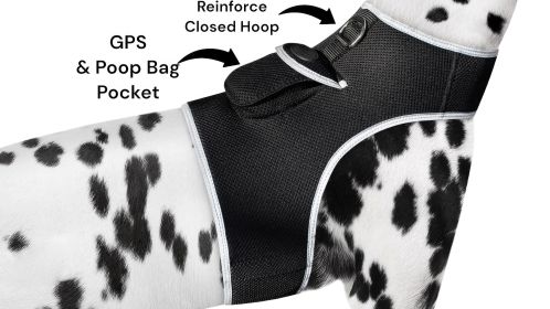 Waterproof Mini GSM GPRS Pet Tracker - Realtime SMS Tracking Reports Size:L