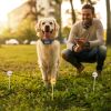 Ipx8 Waterproof Electric Dog Training Collar Rechargeable Receiver Beep Vibration Shock For Small Medium Large Dogs